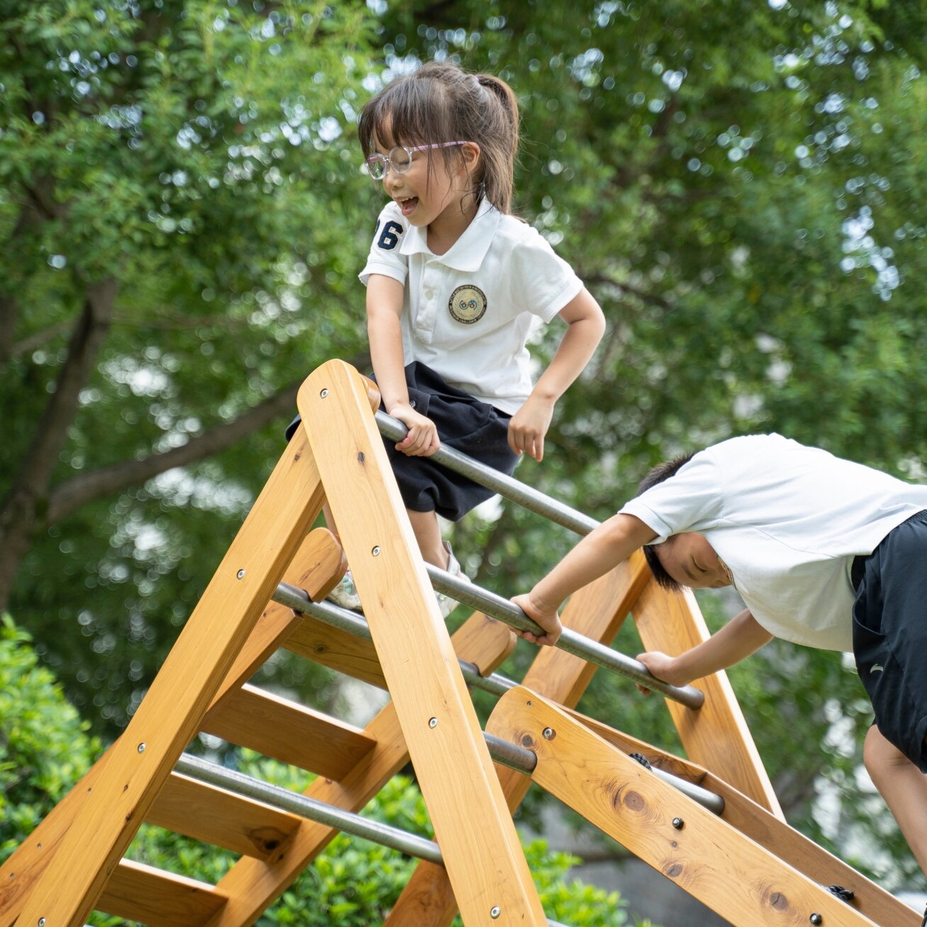 CLASSIC WORLD EDU Medinė žaidimų aikštelė XL rinkinys Montessori laipiojimo kopėtėlės 4