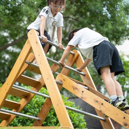 CLASSIC WORLD EDU Medinė žaidimų aikštelė XL rinkinys Montessori laipiojimo kopėtėlės 3