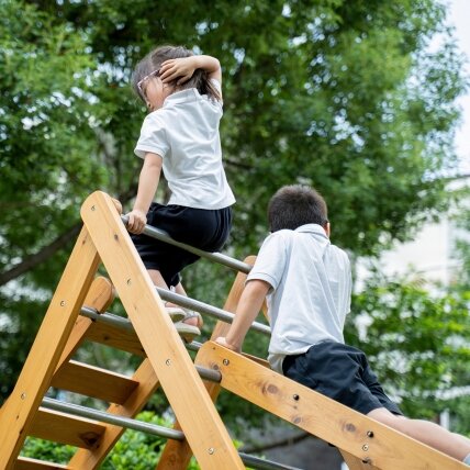 CLASSIC WORLD EDU Medinė žaidimų aikštelė XL rinkinys Montessori laipiojimo kopėtėlės 5