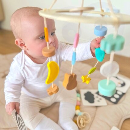 CLASSIC WORLD Pastelinis rinkinys kūdikiams Box Pirmieji žaislai nuo 0–6 mėn. 1 CLASSIC WORLD Pastelinis rinkinys kūdikiams Box Pirmieji žaislai nuo 0–6 mėn. 1