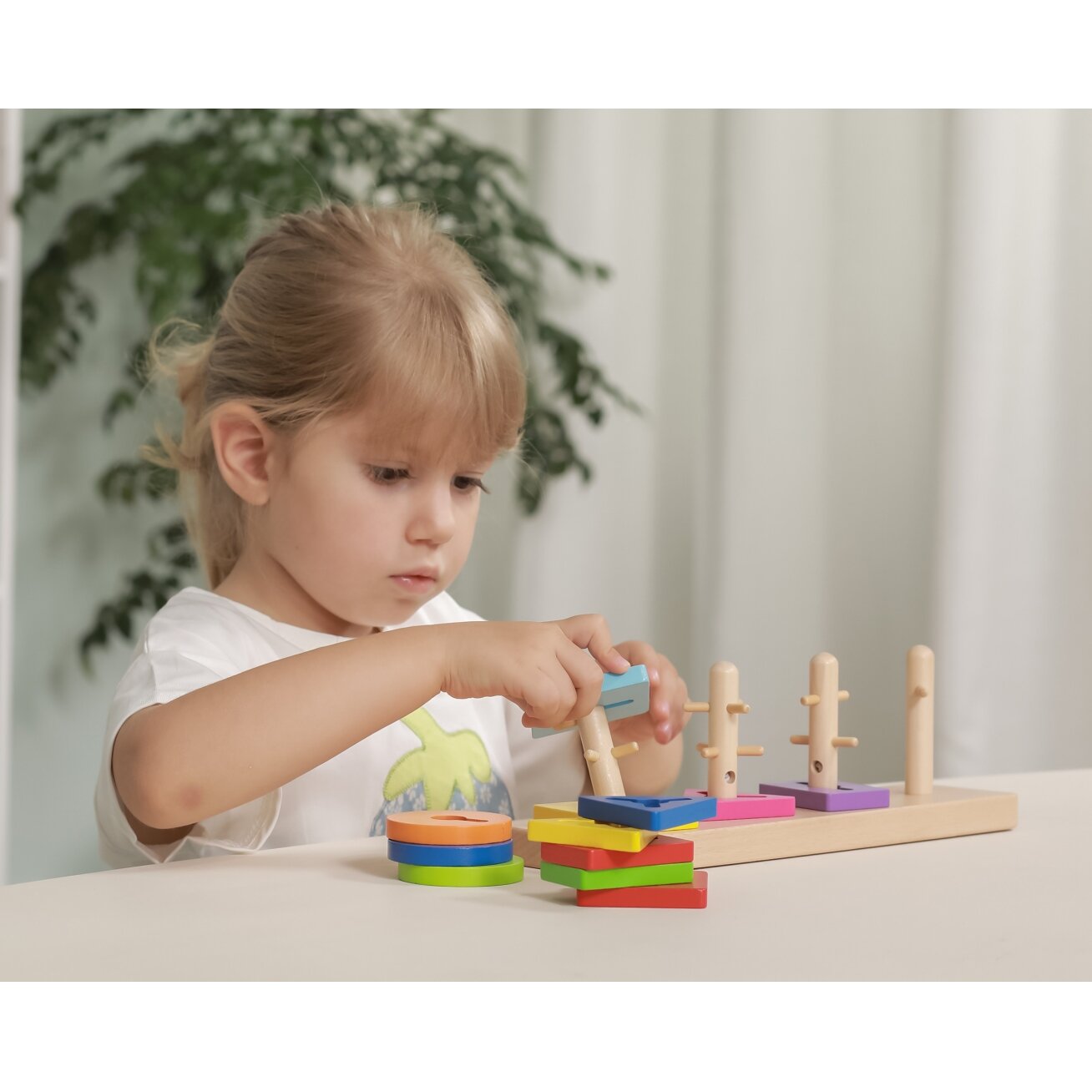 VIGA medinės kaladėlės su Montessori formų rūšiuokle 2