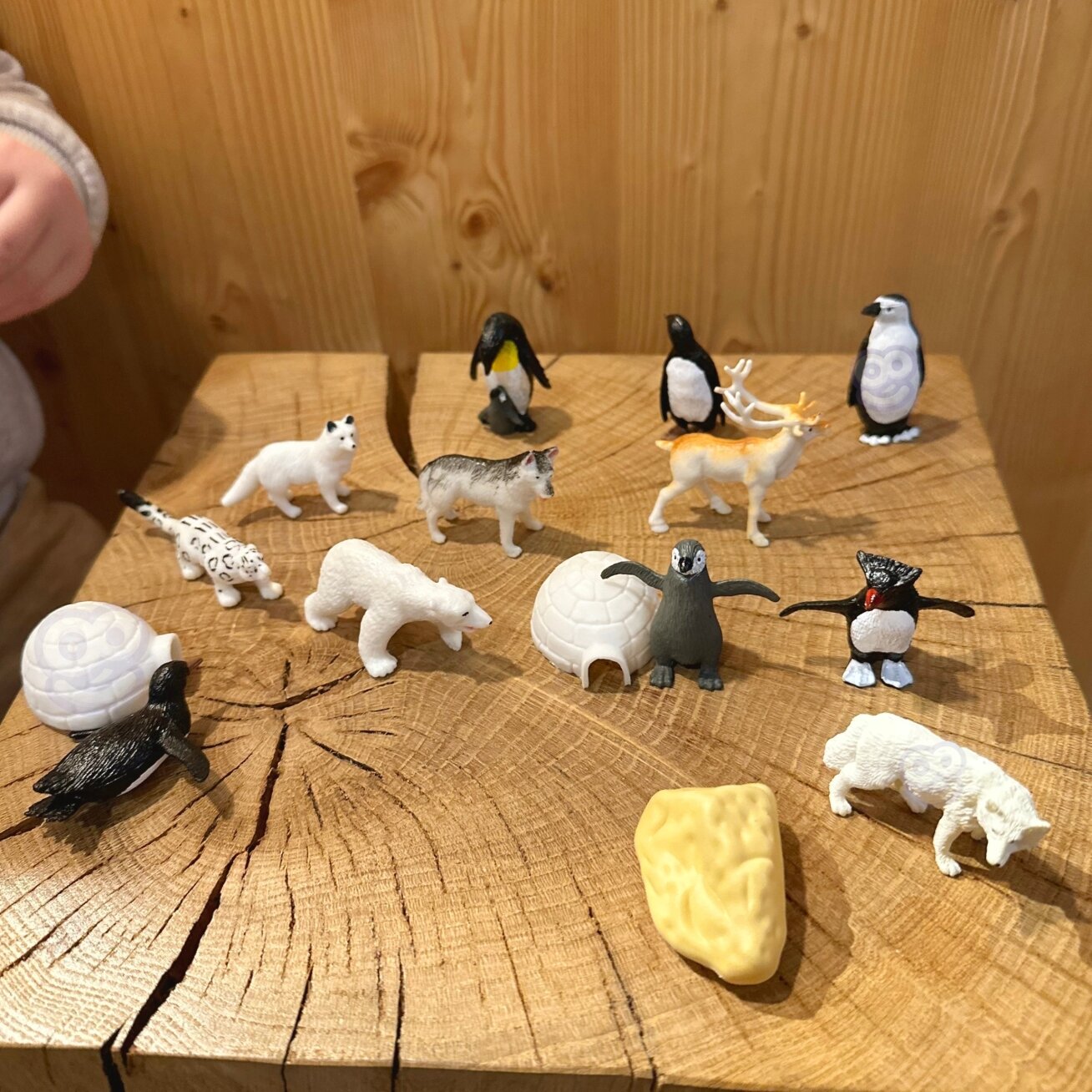 WOOPIE Figūrėlių rinkinys Arkties gyvūnai 16 vnt. 1 WOOPIE Figūrėlių rinkinys Arkties gyvūnai 16 vnt. 1