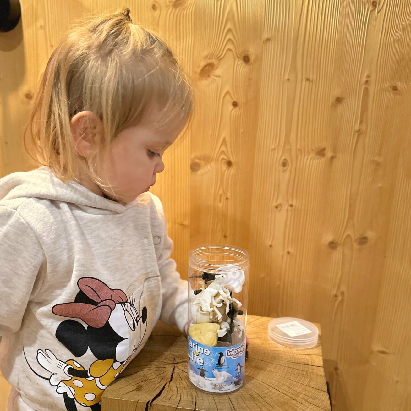WOOPIE Figūrėlių rinkinys Arkties gyvūnai 16 vnt. 2