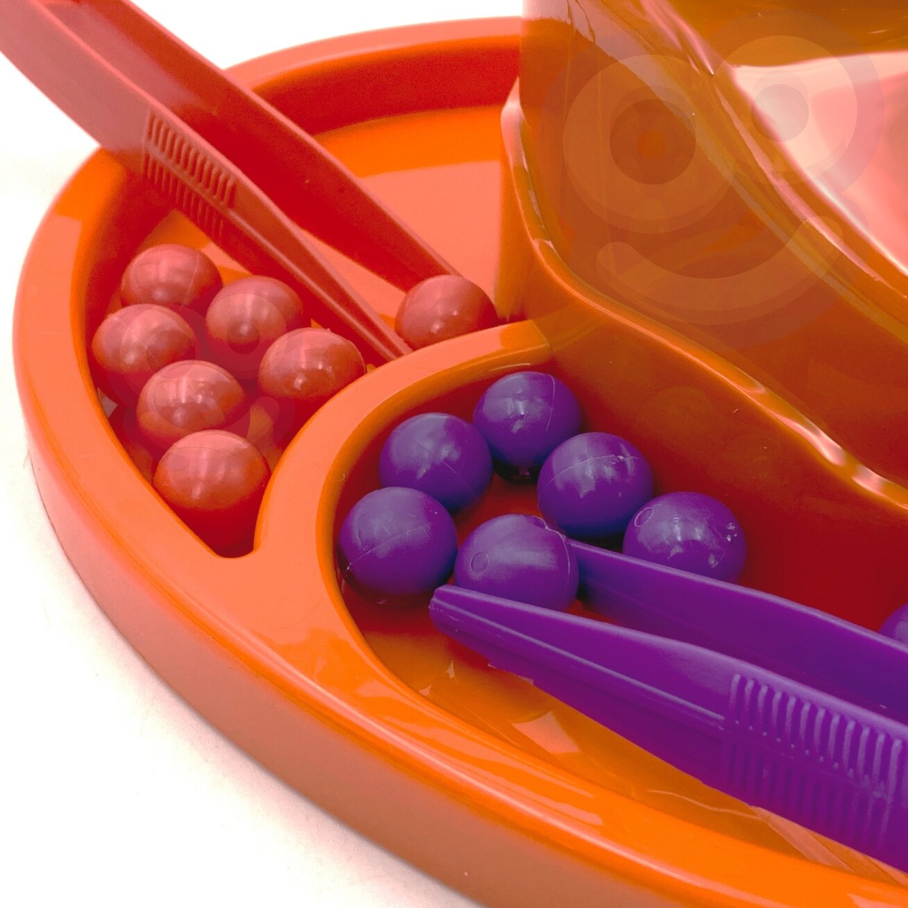 WOOPIE Vikrumo žaidimas Šokantis šimtakojis 10