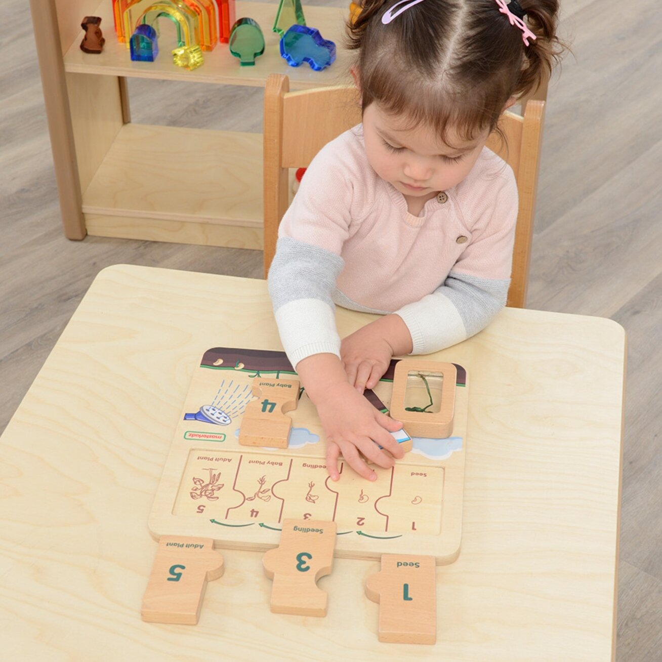 MASTERKIDZ Medinė lentelė Pupelės gyvenimo ciklas 2