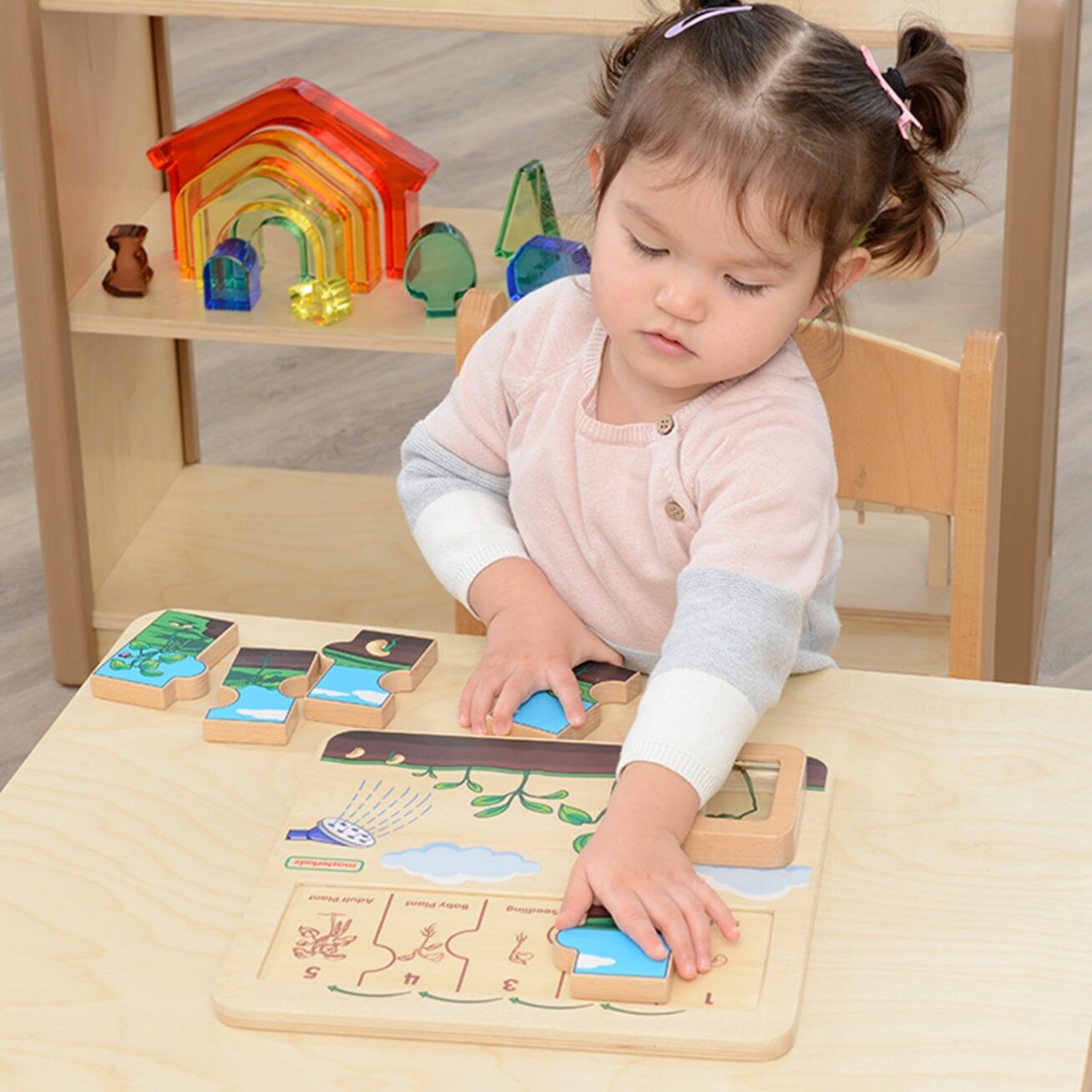 MASTERKIDZ Medinė lentelė Pupelės gyvenimo ciklas 4 MASTERKIDZ Medinė lentelė Pupelės gyvenimo ciklas 4