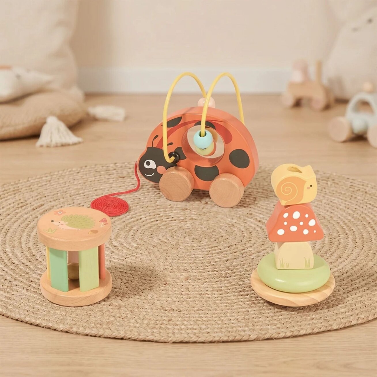 TOOKY TOY Edukacinis žaidimų rinkinys Boružėlė 3in1 2