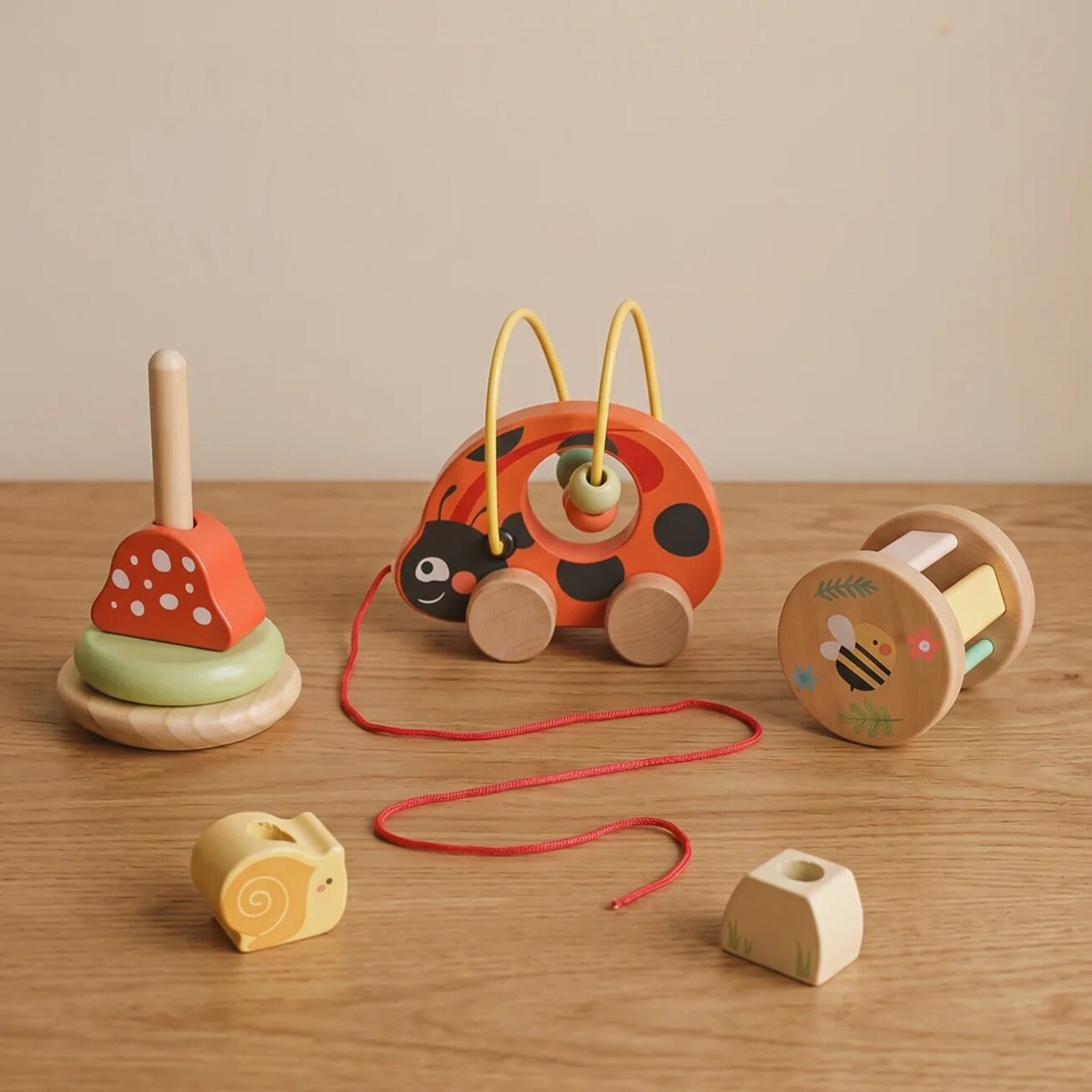 TOOKY TOY Edukacinis žaidimų rinkinys Boružėlė 3in1 3