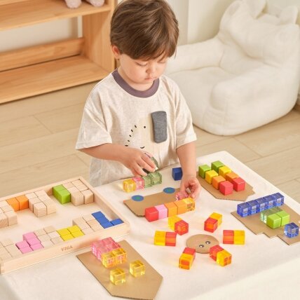 VIGA sensorinės kaladėlės medinės spalvotos permatomos Montessori 108 EL 4