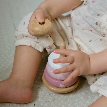 VIGA PolarB medinė edukacinė piramidė - laputė 1