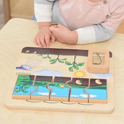 MASTERKIDZ Medinė lentelė Pupelės gyvenimo ciklas 3 MASTERKIDZ Medinė lentelė Pupelės gyvenimo ciklas 3