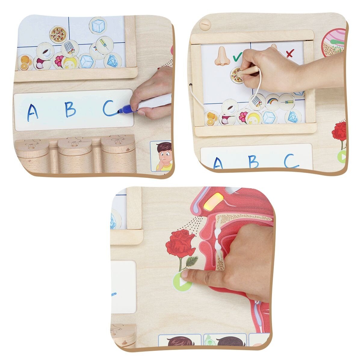 MASTERKIDZ Montessori edukacinė lentelė – uoslės pojūtis 3 MASTERKIDZ Montessori edukacinė lentelė – uoslės pojūtis 3