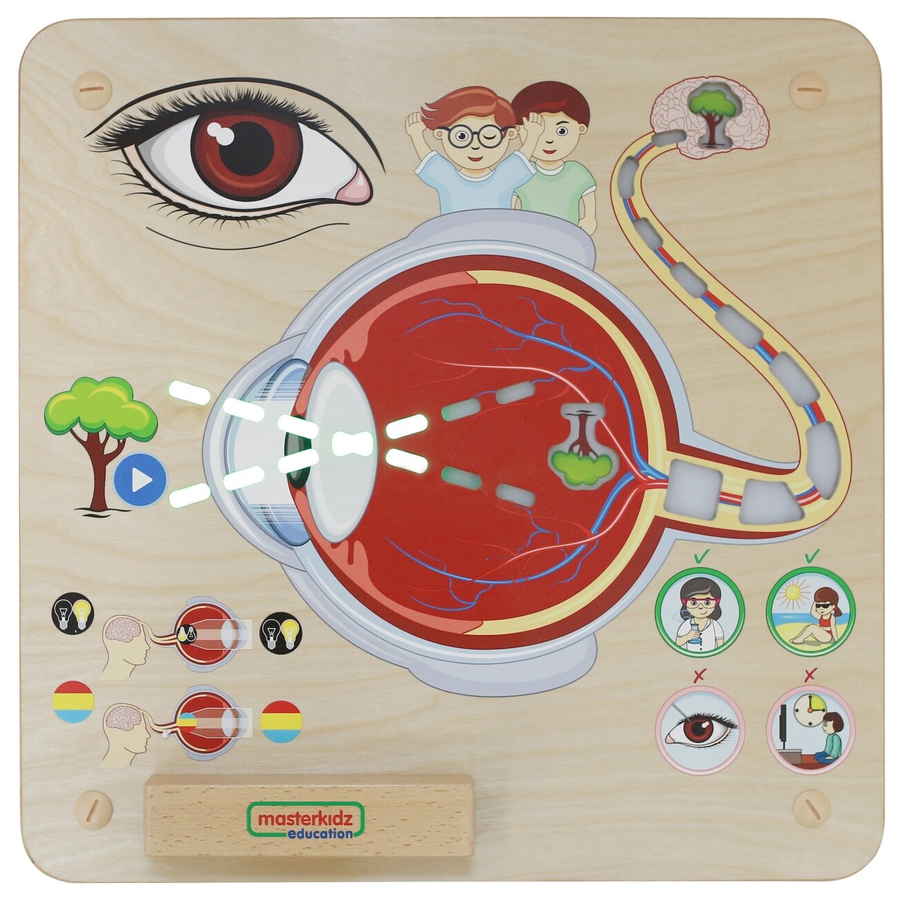 MASTERKIDZ Montessori edukacinė lentelė – regos pojūtis 3