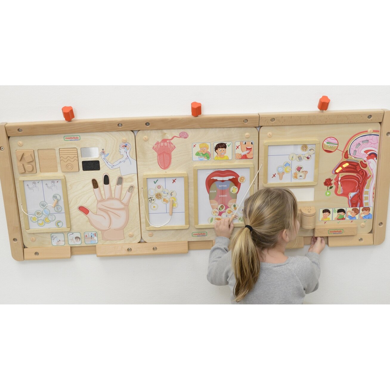 MASTERKIDZ Montessori edukacinė lenta – lytėjimo pojūtis 4