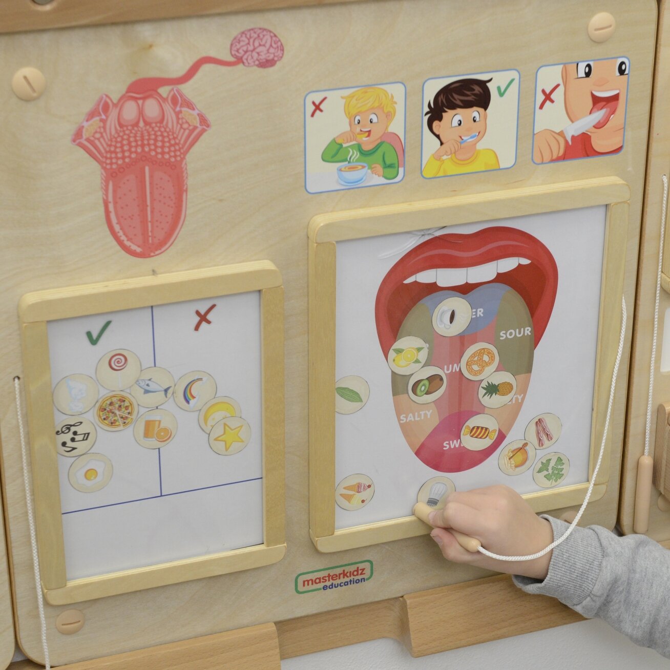 MASTERKIDZ Edukacinė lenta Montessori skonio pojūtis 1 MASTERKIDZ Edukacinė lenta Montessori skonio pojūtis 1