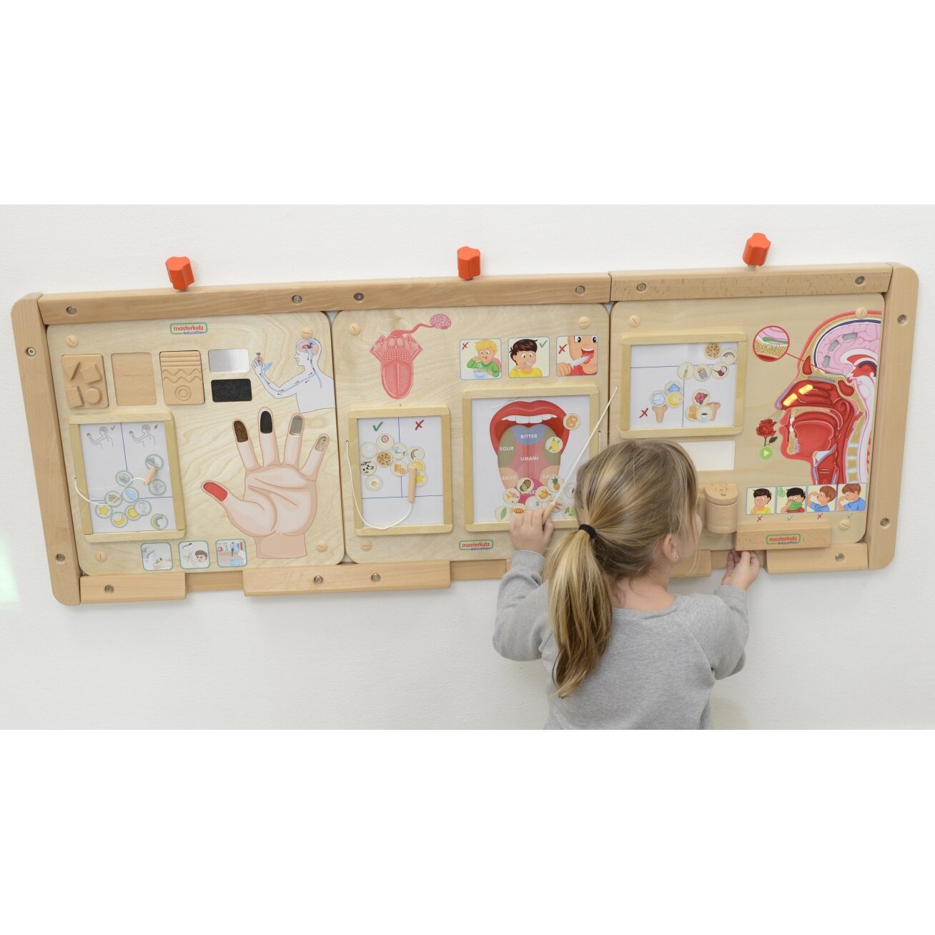 MASTERKIDZ Edukacinė lenta Montessori skonio pojūtis 2 MASTERKIDZ Edukacinė lenta Montessori skonio pojūtis 2