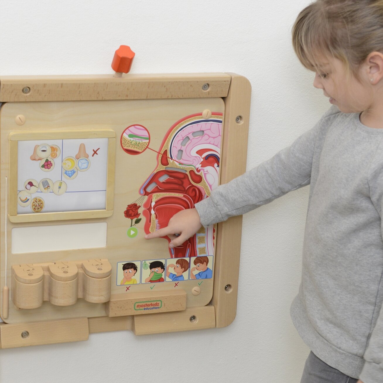 MASTERKIDZ Montessori edukacinė lentelė – uoslės pojūtis 4 MASTERKIDZ Montessori edukacinė lentelė – uoslės pojūtis 4