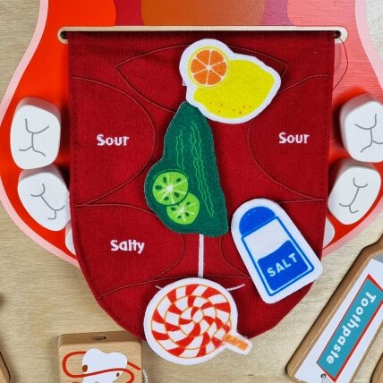 MASTERKIDZ Burnos higiena Sieninė sensorinė lentelė Flex Montessori 3