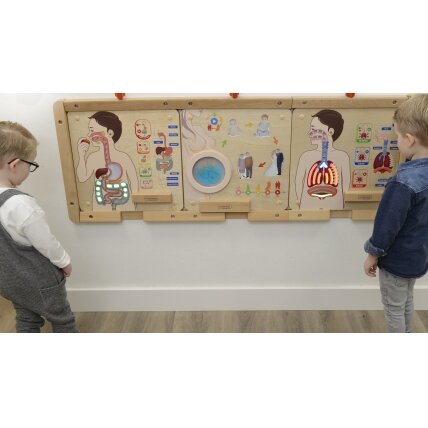 MASTERKIDZ Montessori edukacinė lenta Virškinimo sistema 4 MASTERKIDZ Montessori edukacinė lenta Virškinimo sistema 4