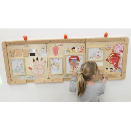 MASTERKIDZ Edukacinė lenta Montessori skonio pojūtis 2