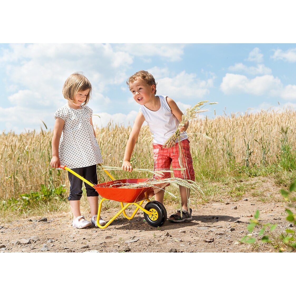 Vaikiška raudona metalinė karutė Rolly Toys 2