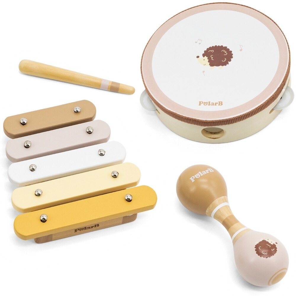 VIGA PolarB muzikos instrumentų rinkinys su ežiuku