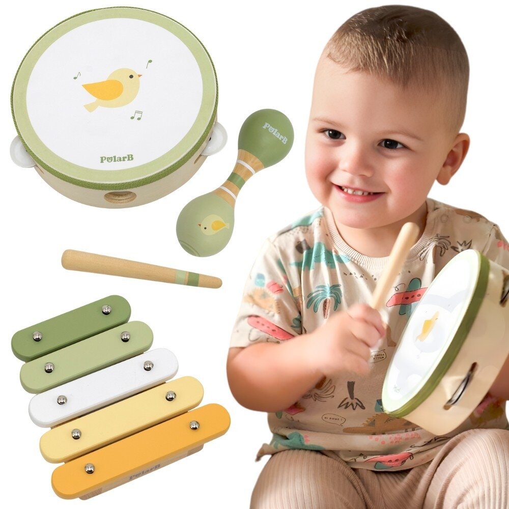 VIGA PolarB muzikos instrumentų rinkinys, žalias VIGA PolarB muzikos instrumentų rinkinys, žalias