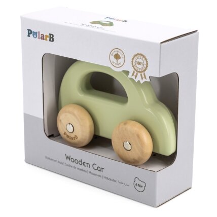 VIGA PolarB medinis stumiamas automobiliukas žalias 4