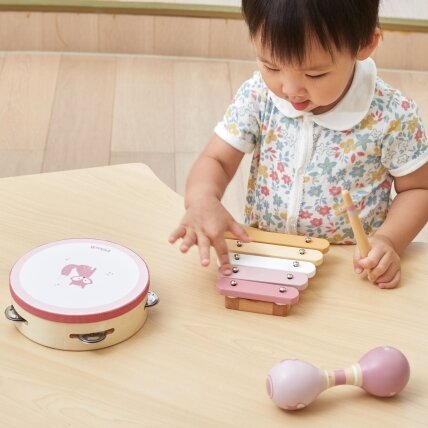 VIGA PolarB muzikos instrumentų rinkinys rožinis 1