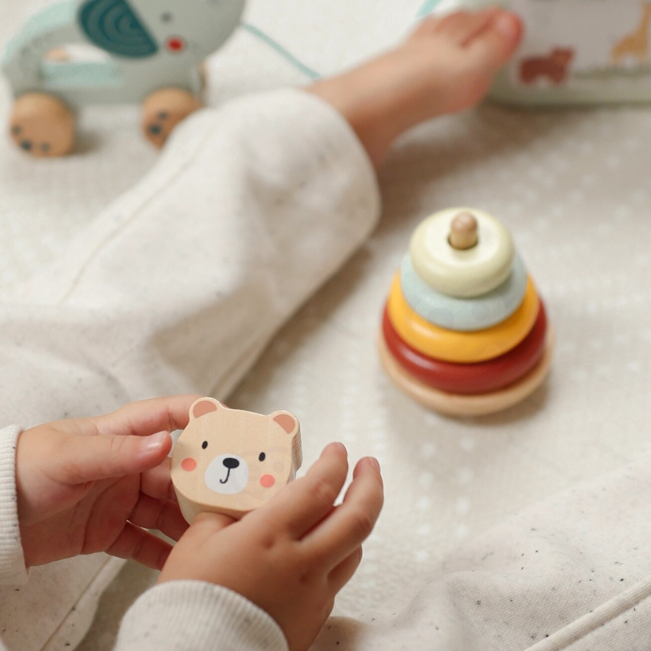 WOOPIE GREEN Dėžutė Sorter Box 3in1 Kaladėlės Piramidė Drambliukas FSC 3