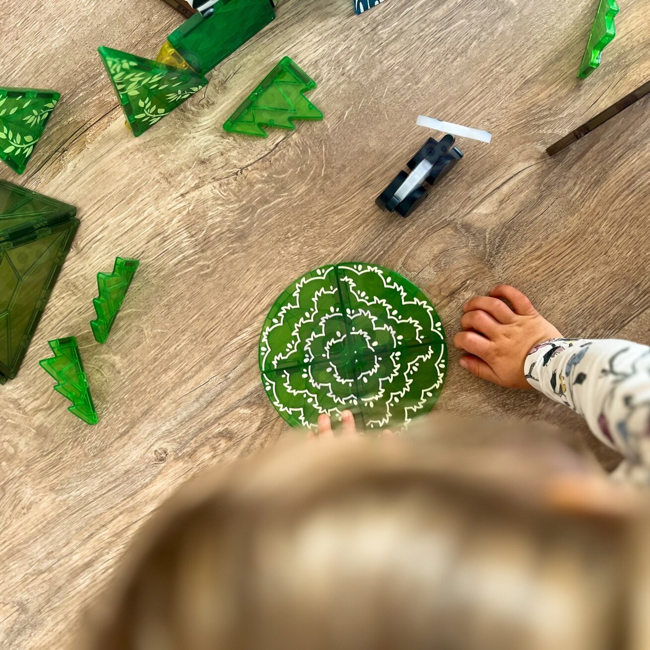 WOOPIE Magnetiniai konstrukciniai 3D kaladėlių edukacinis rinkinys Retieji gyvūnai 45 vnt. 8 WOOPIE Magnetiniai konstrukciniai 3D kaladėlių edukacinis rinkinys Retieji gyvūnai 45 vnt. 8